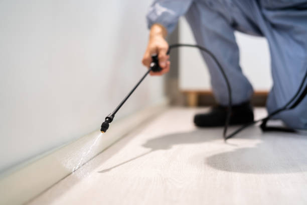 Certified termite inspector examining foundation in Cliffside Park