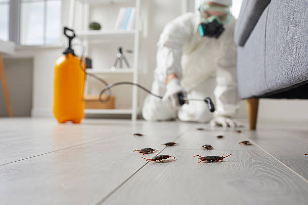 Commercial Kitchen Cockroach Control in Cliffside Park